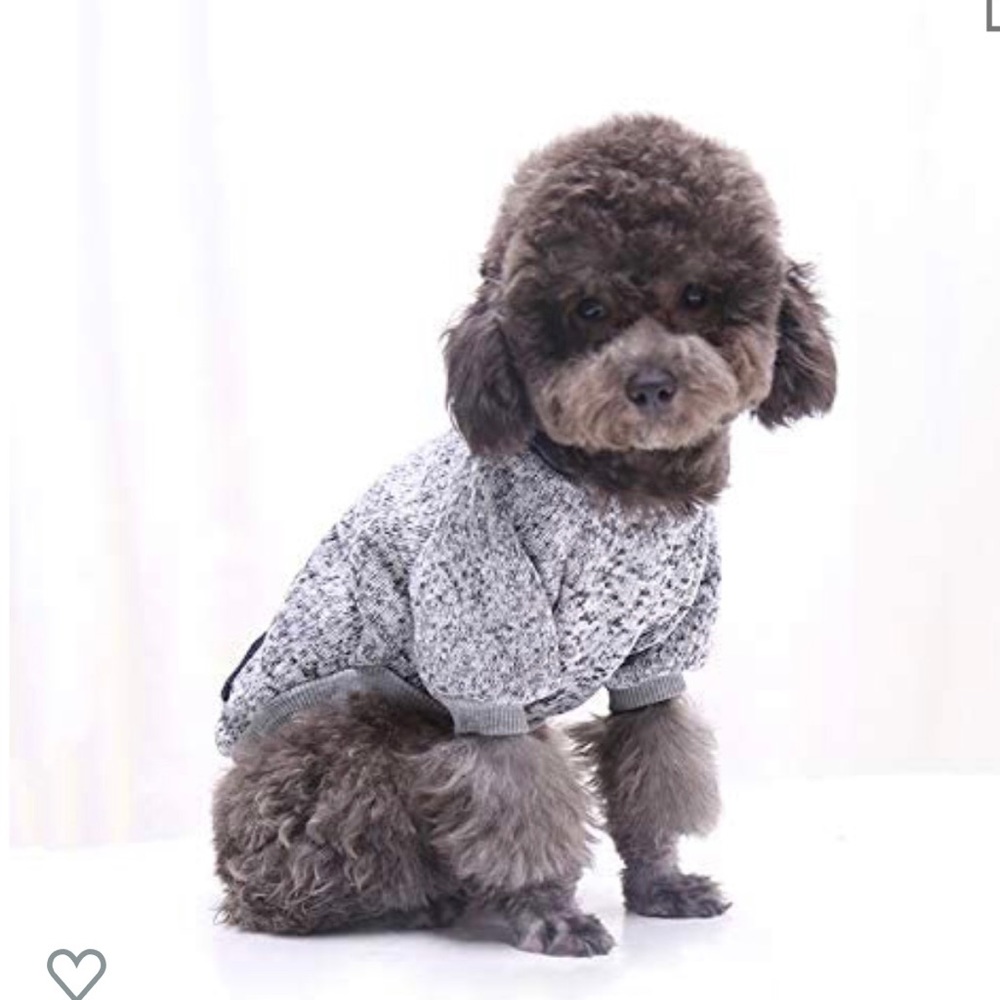 Pet Hoodie—NWT